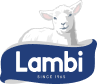 Logo 4